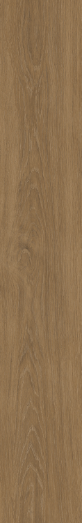 Time Wood Essence 7.5 x 48